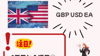 GBPUSD Proの概要/フォワード情報/注意点など