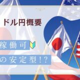 ボストンEA　Neo2　USDJPY　詳細・概要・説明